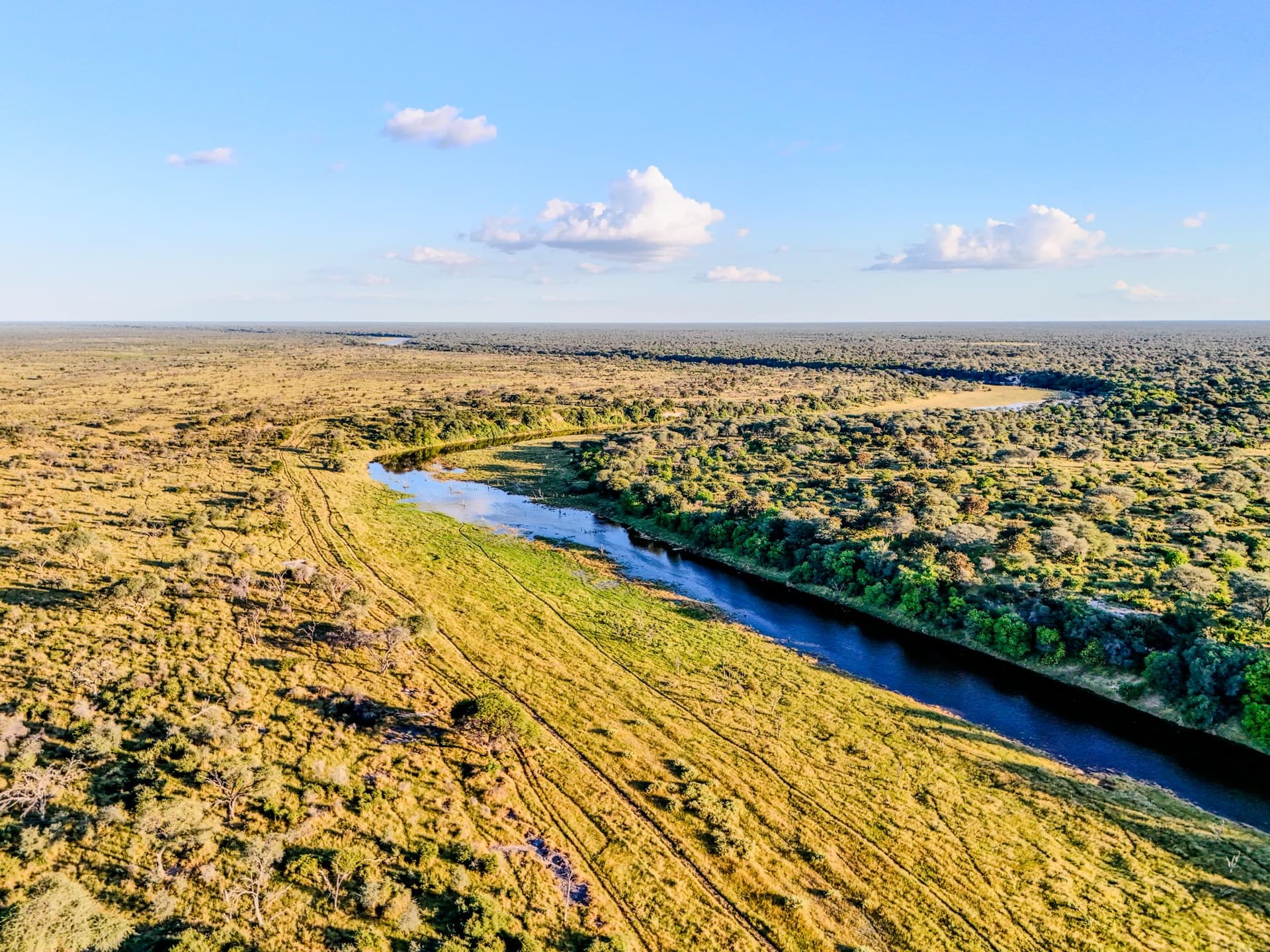 The Boteti River in green season