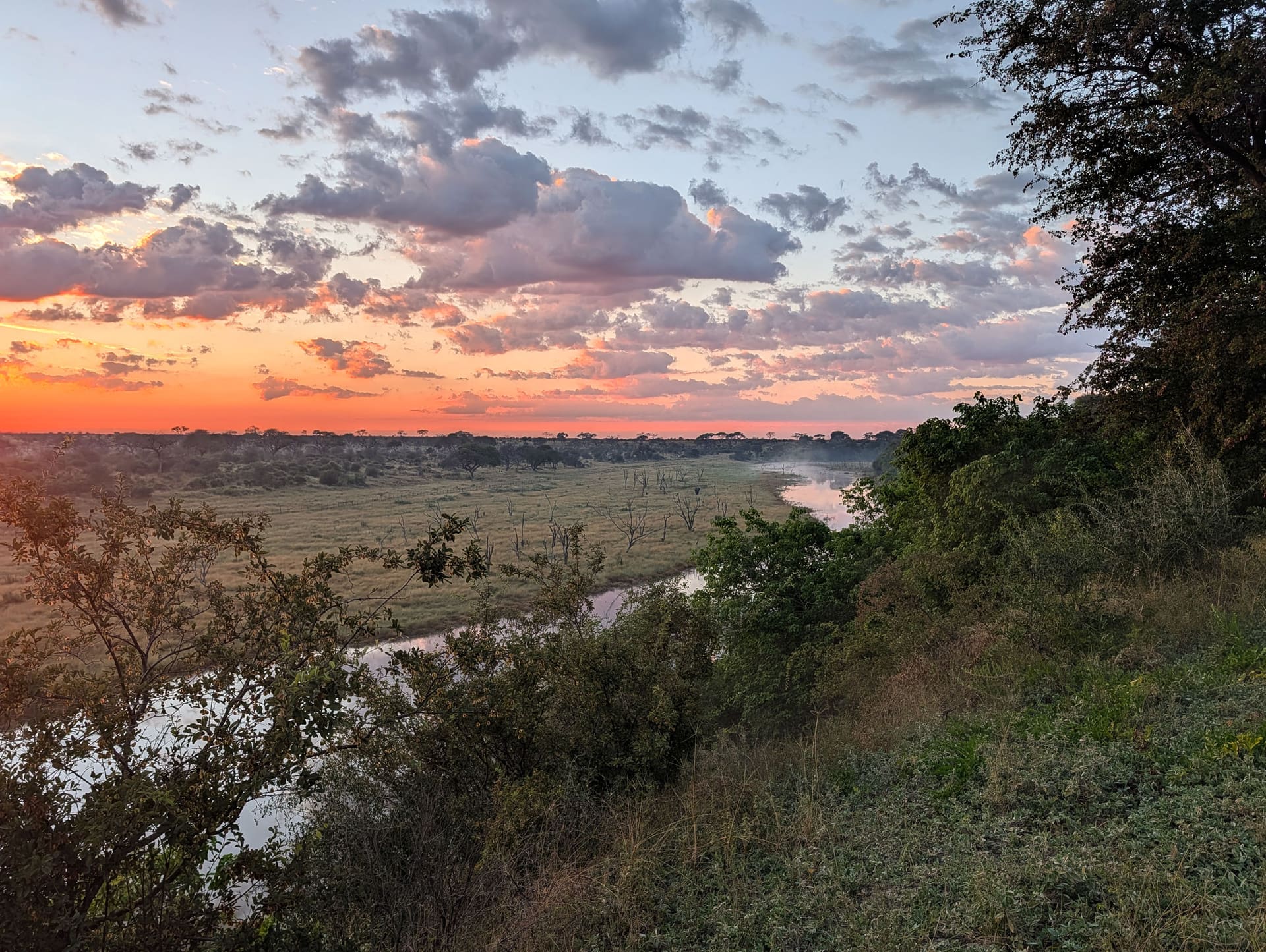 Sunrise over the Boteti riverbed near the Makgadikgadi Pans