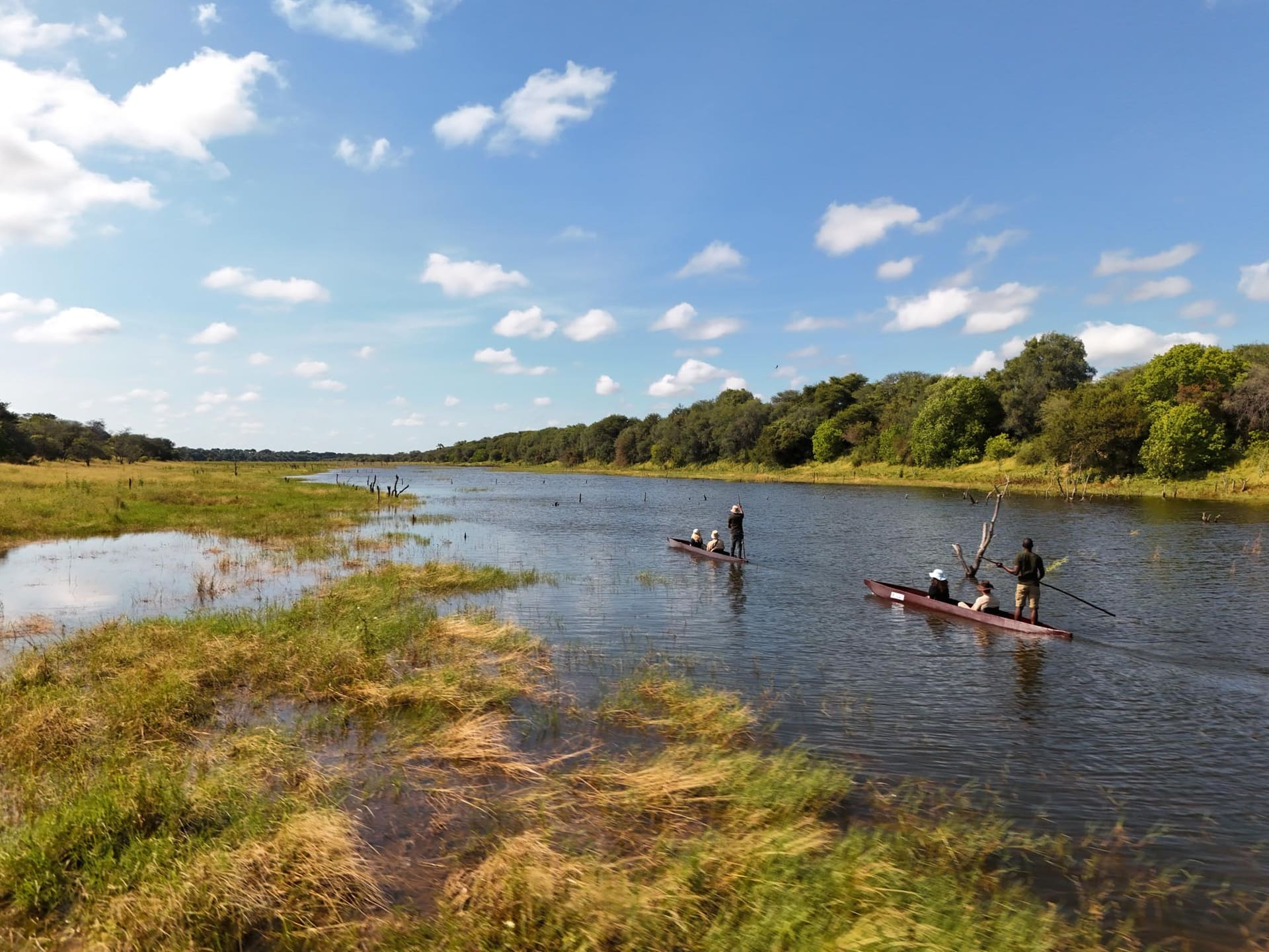 Mokoro canoes on the Boteti River