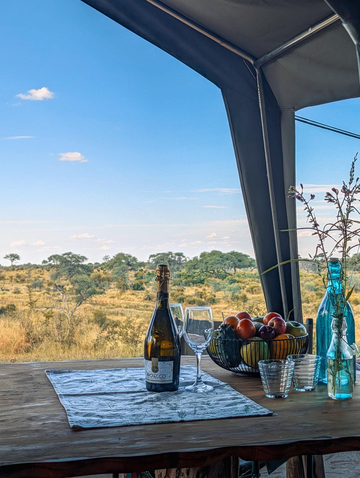 Vista dalla veranda di una tenda safari sul bush secco, con una bottiglia di vino, bicchieri e una coppa di frutta sul tavolo